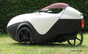 Orca von der Seite